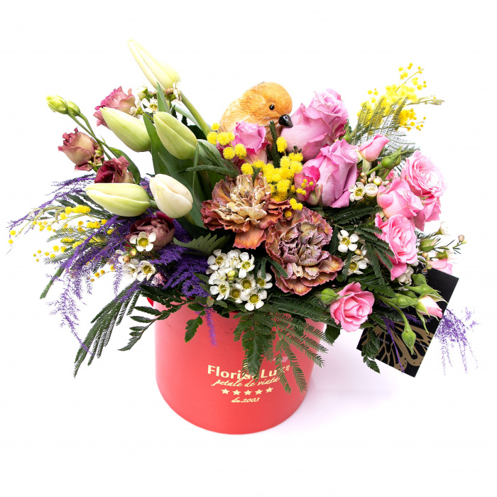 Cutie multicolora de primavara