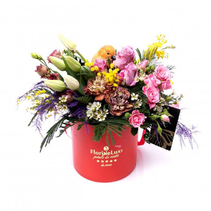 Cutie multicolora de primavara