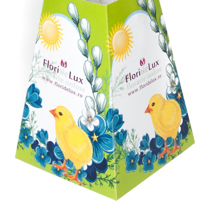 Gerbera, lalele si hypericum in Promo Flowers