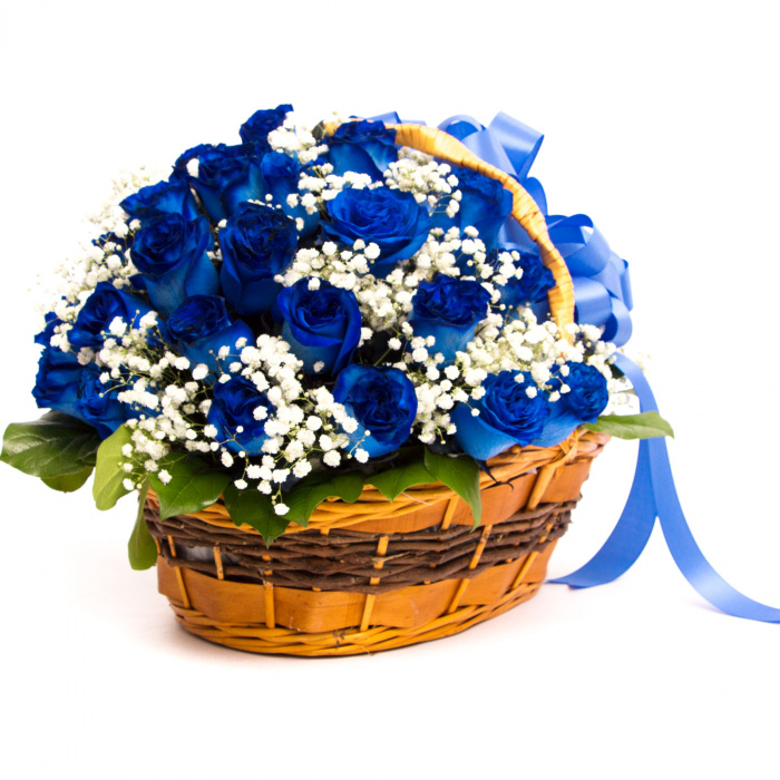 Cos trandafiri albastri – imaginea 1