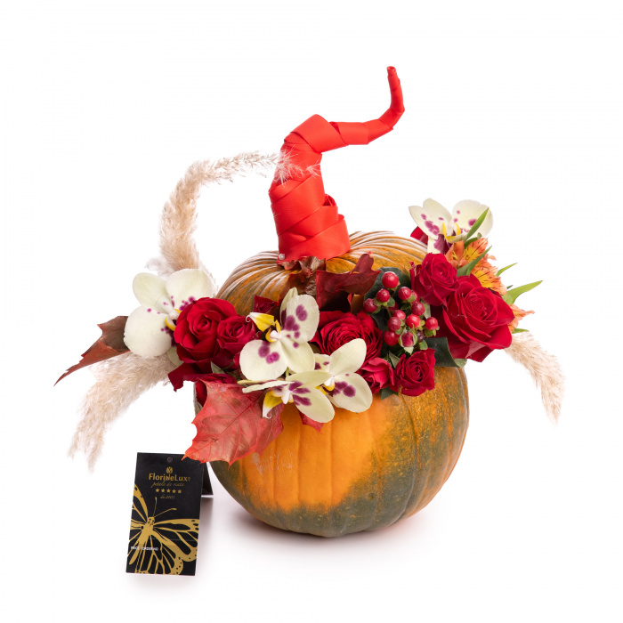 Dovleac de Halloween elegant – imaginea 1
