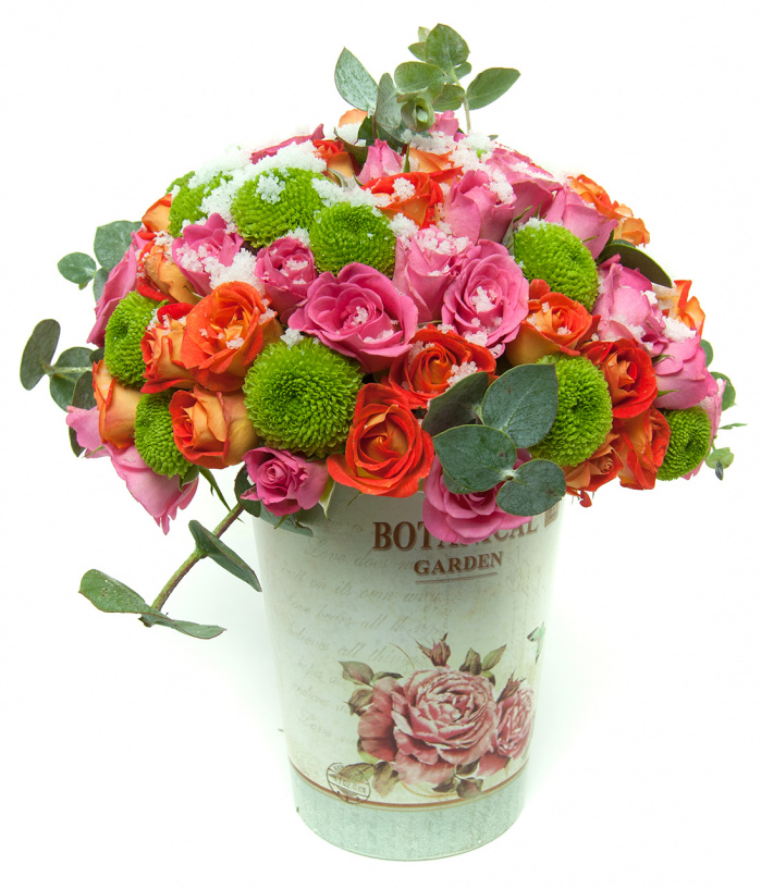 Gradina cu flori de gheata – imaginea 1
