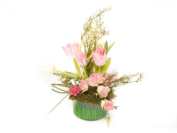 Lalele primavaratice cu drag