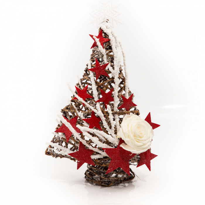 Brad Craciun The star of Christmas – imaginea 1