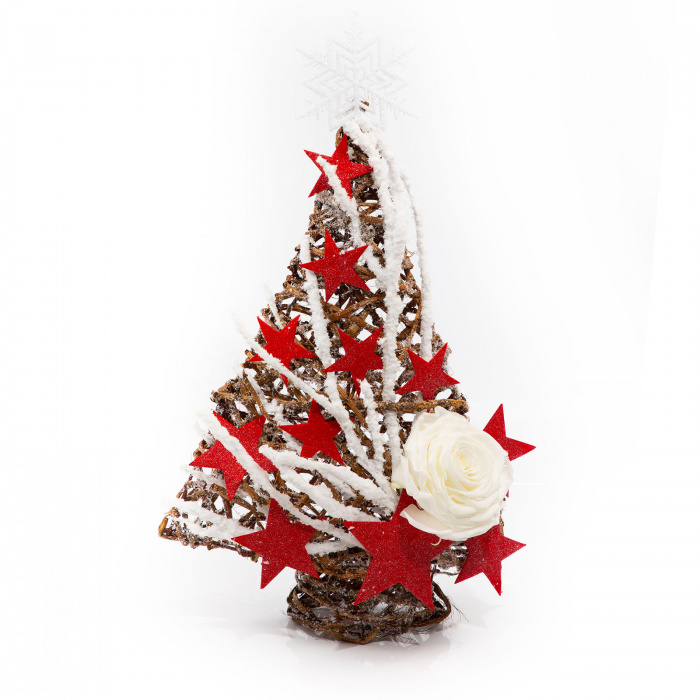 Brad Craciun The star of Christmas – imaginea 2