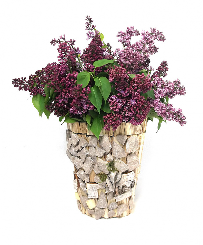 Primavara cu liliac parfumat – imaginea 1