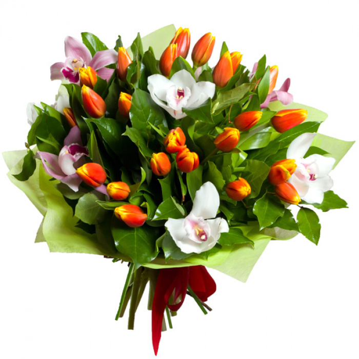 Buchet lalele si orhidee – imaginea 1