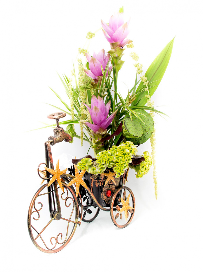 Bicicleta catre plaja – imaginea 1