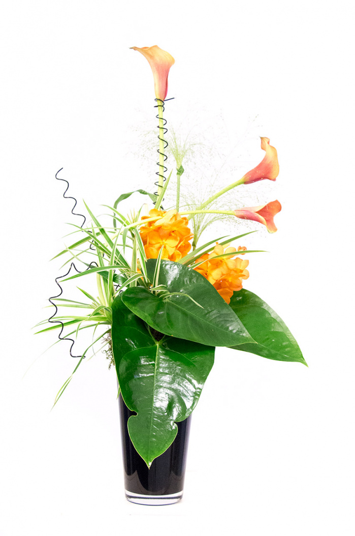 Fantezie exotica