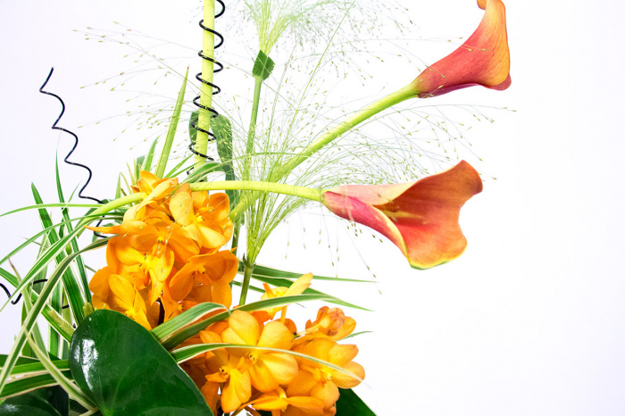 Fantezie exotica