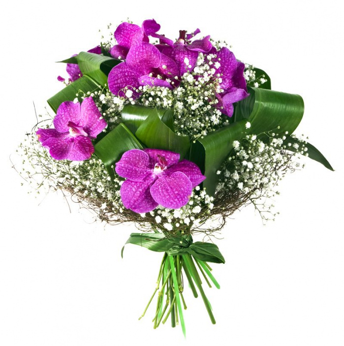 Buchet de orhidee wanda – imaginea 1