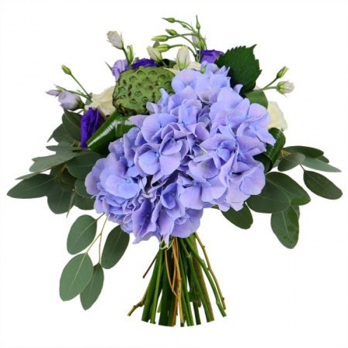 Buchet cu hydrangea delicata