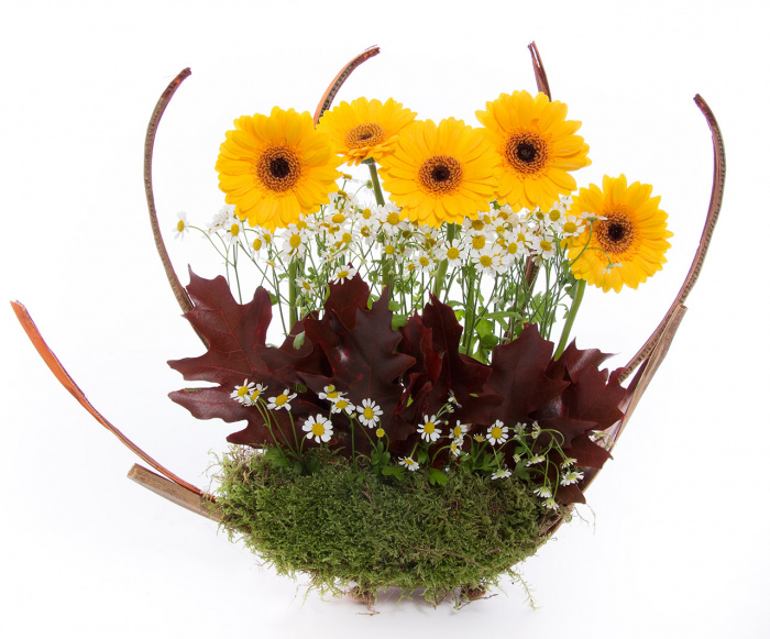 Eleganta office inspirata de natura – imaginea 1
