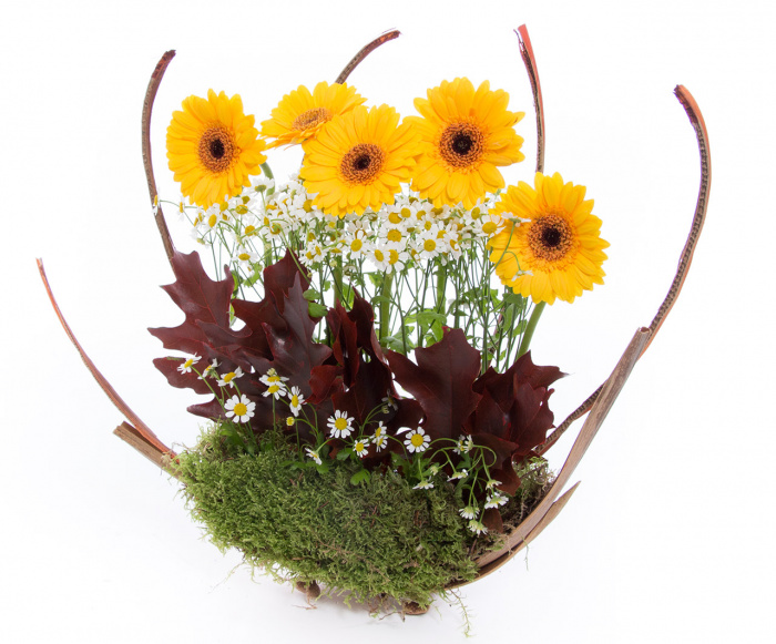 Eleganta office inspirata de natura – imaginea 2