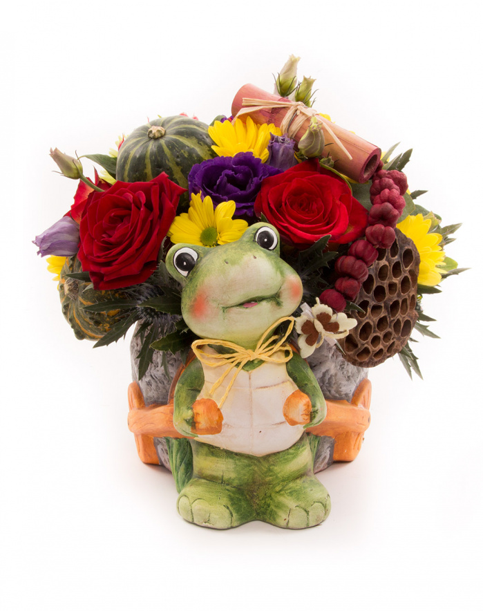 Broscuta harnica si florile ei vesele – imaginea 1