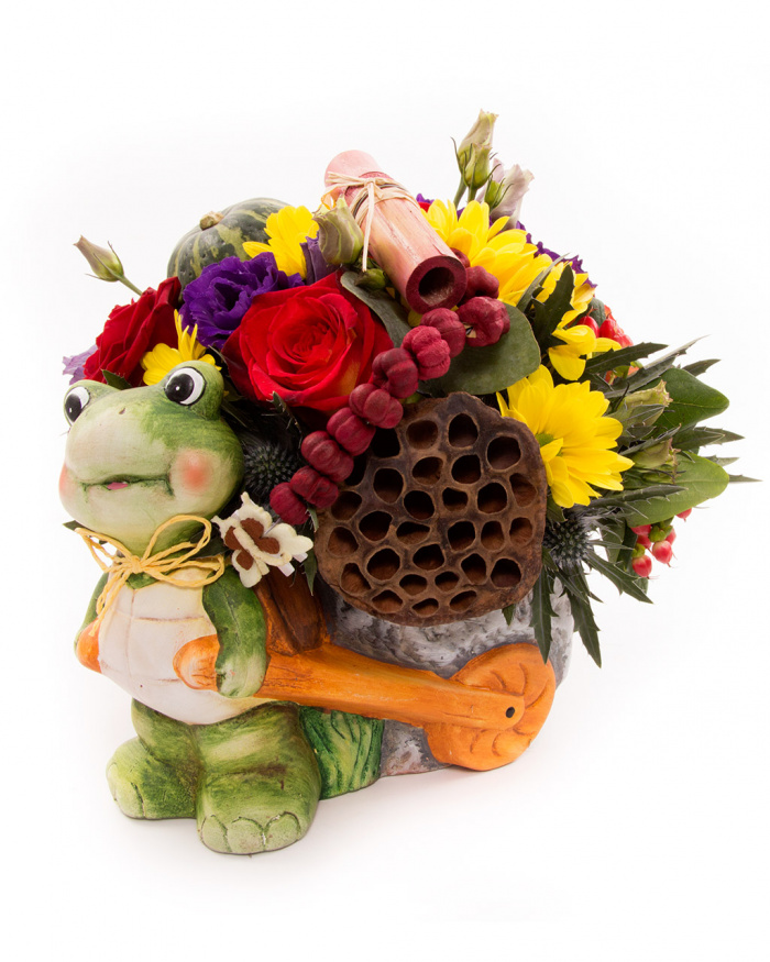 Broscuta harnica si florile ei vesele – imaginea 3