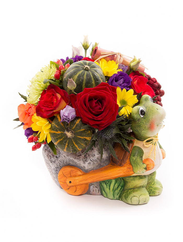 Broscuta harnica si florile ei vesele – imaginea 4
