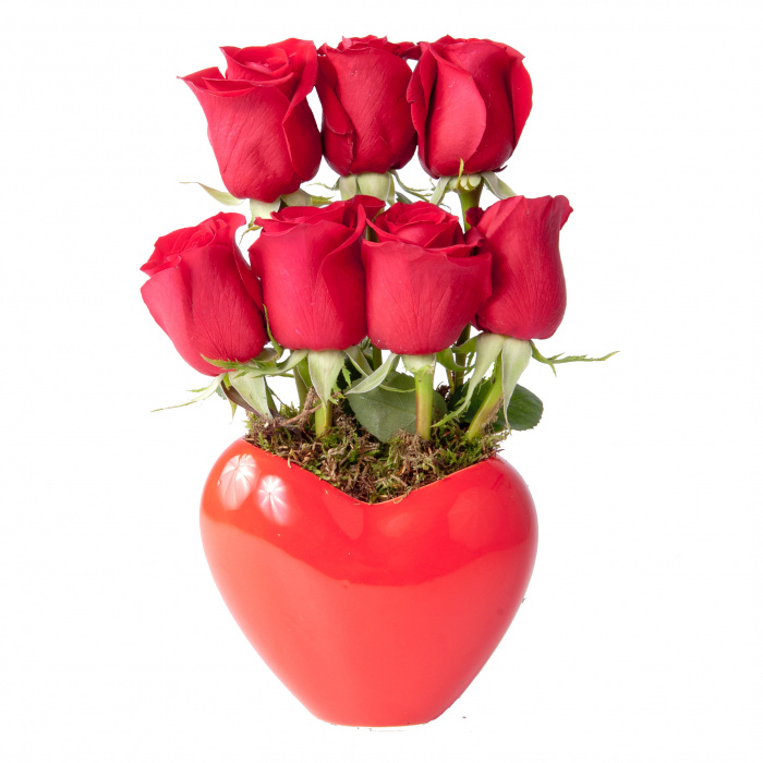 Mon coeur de roses