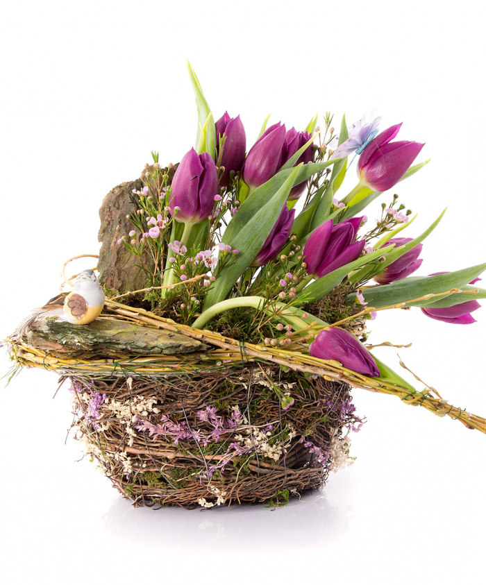 Lalele mov primavaratice