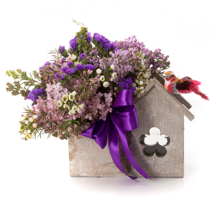 Casuta pasarilor calatoare