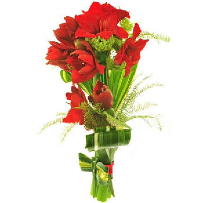 Buchet amaryllis exotic – imaginea 1