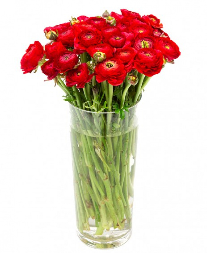 Buchet ranunculus rosu – imaginea 1