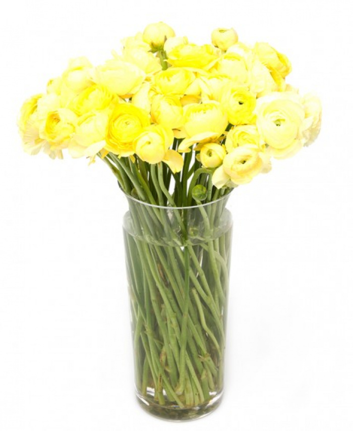 Buchet ranunculus galben