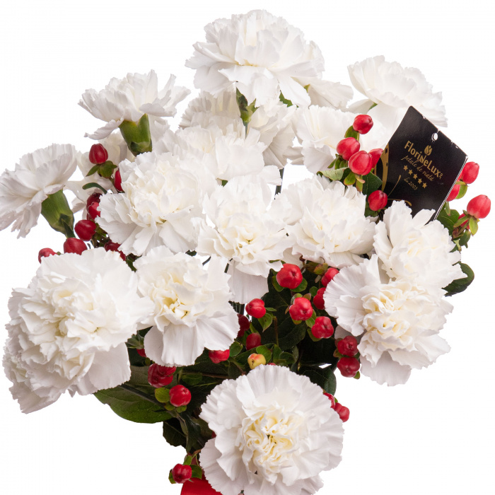 Buchet garoafe albe – imaginea 2