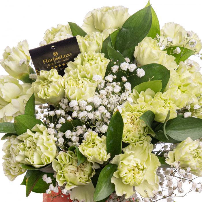 Buchet garoafe verzi – imaginea 2