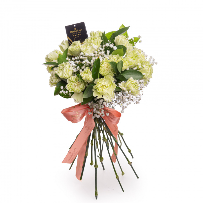 Buchet garoafe verzi – imaginea 1