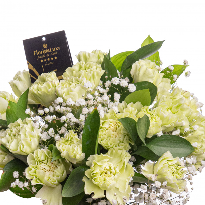 Buchet garoafe verzi – imaginea 2