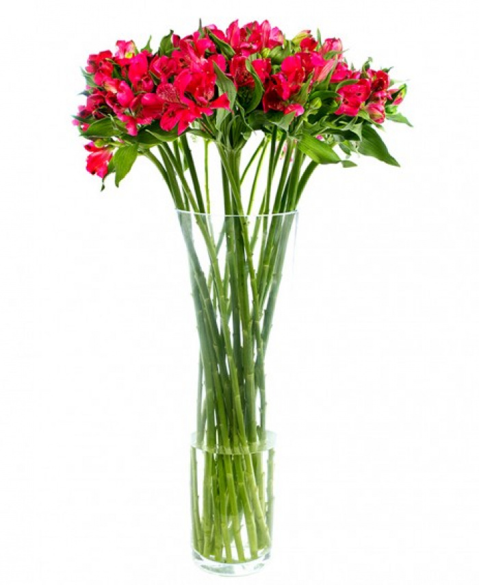 Buchet alstroemeria rosie – imaginea 1