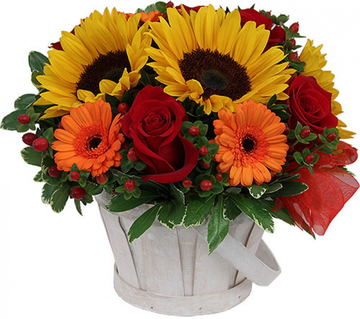 Bunatatea zilelor de vara