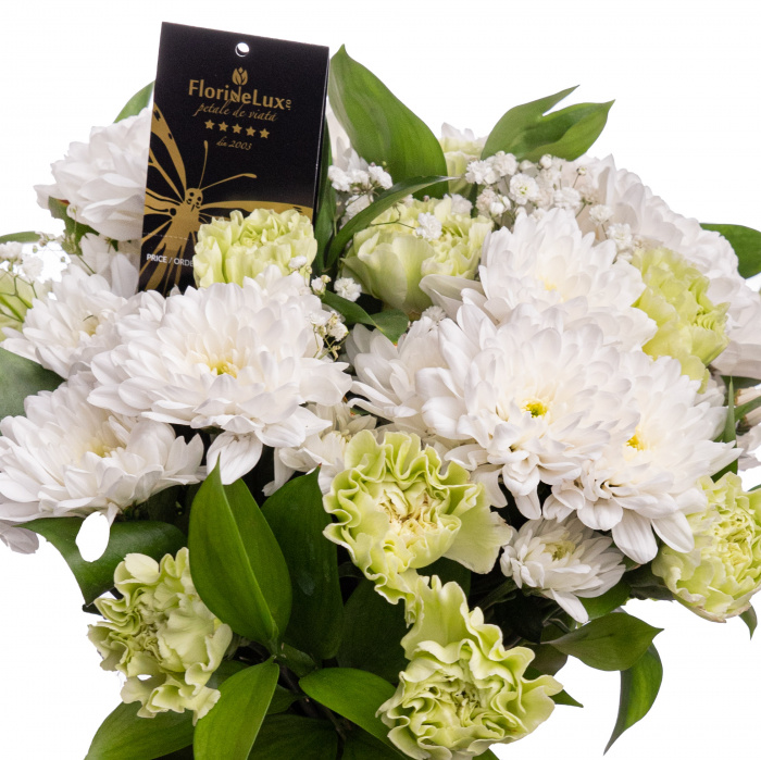 Crizanteme albe si dianthus – imaginea 2
