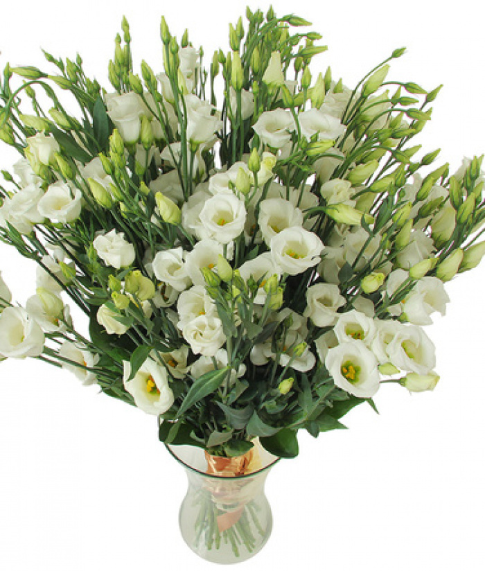 Buchet lisianthus alb