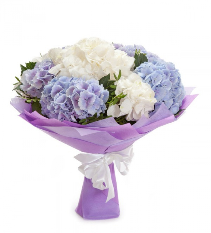 Buchet hortensii sezonul rece – imaginea 1