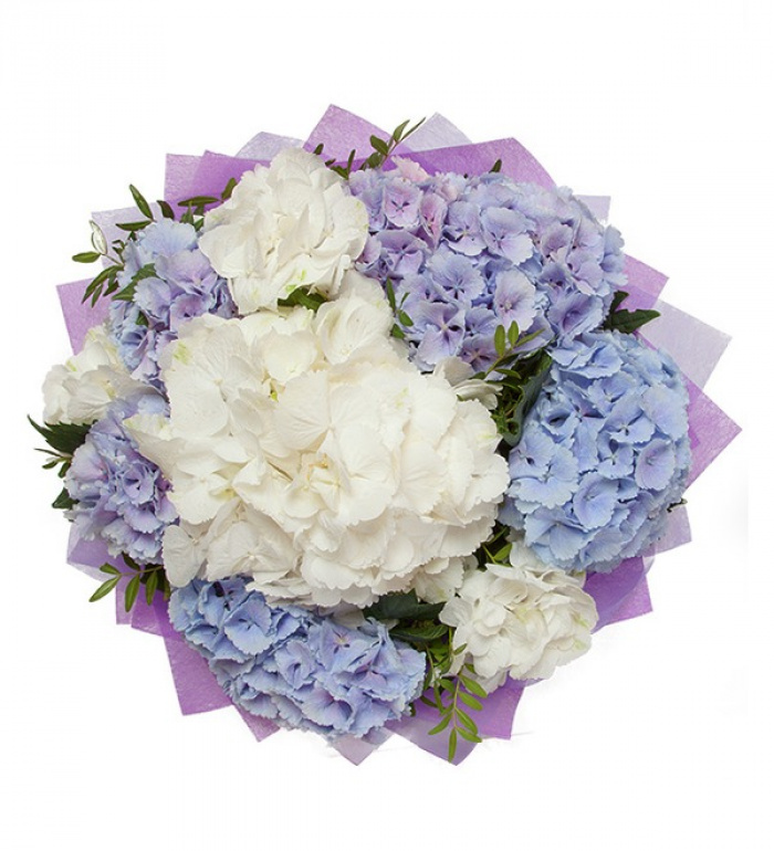 Buchet hortensii sezonul rece – imaginea 2