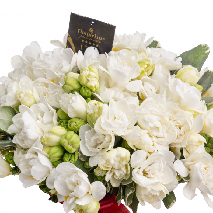 Buchet frezii albe WOW – imaginea 2