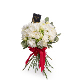 Buchet frezii albe WOW – Standard