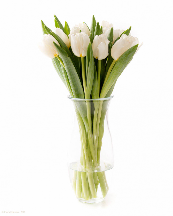 Buchet 13 lalele albe pretioase