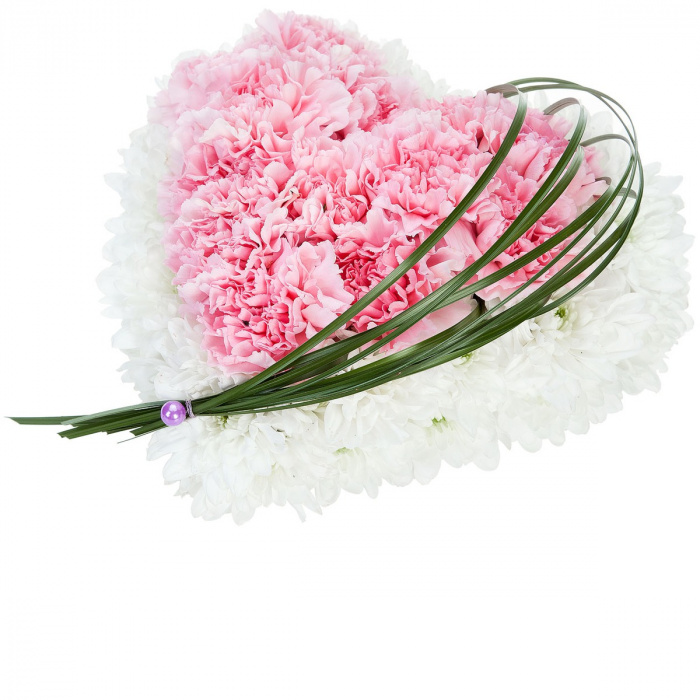 Inima dianthus dragalas – imaginea 1