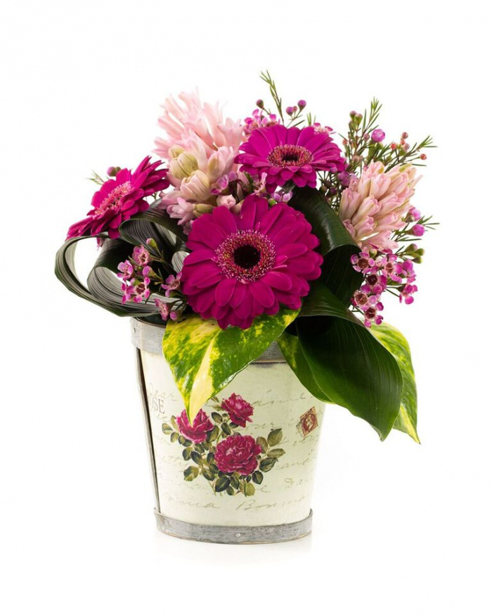 Cos zambile si gerbera