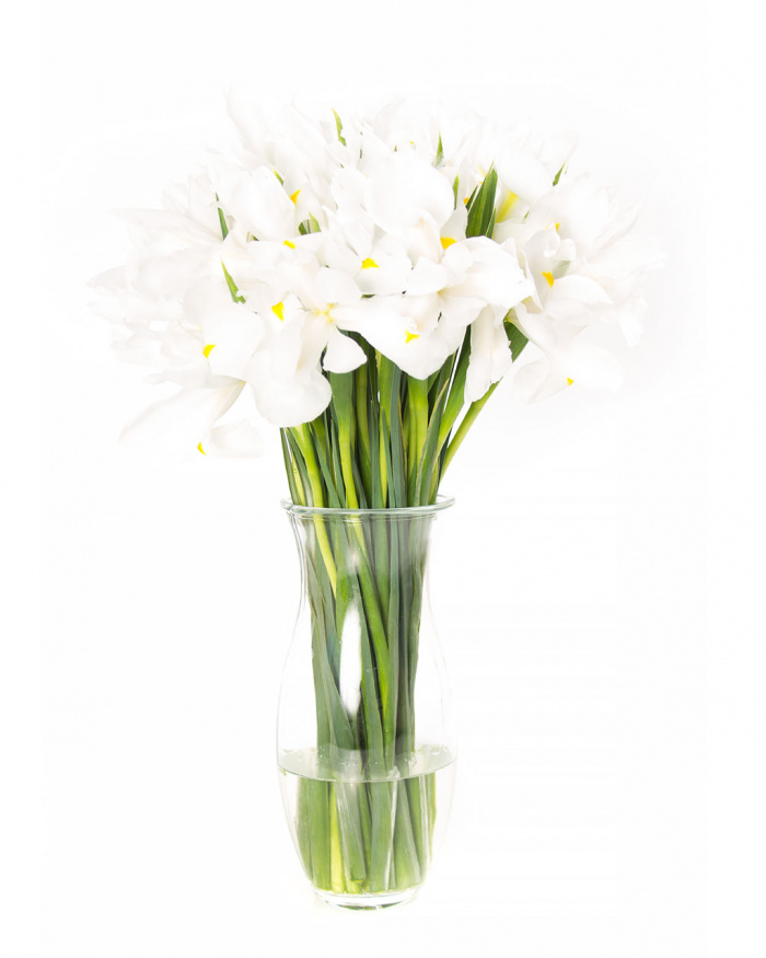 Buchet de 49 irisi albi – imaginea 1