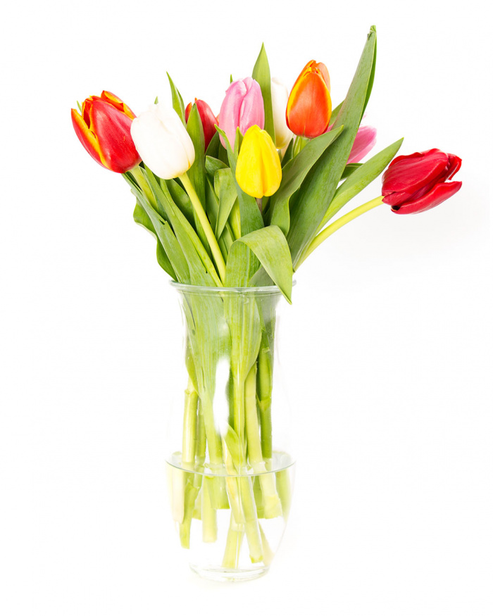 15 lalele multicolore