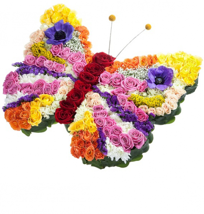 Fluture magnific de flori – imaginea 1