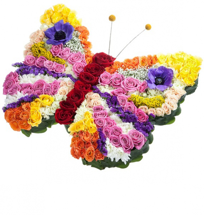Fluture magnific de flori