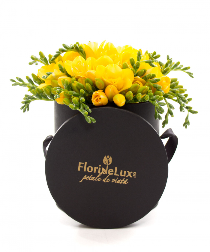 Cutie cu frezii galbene si vin Billecart Salmon