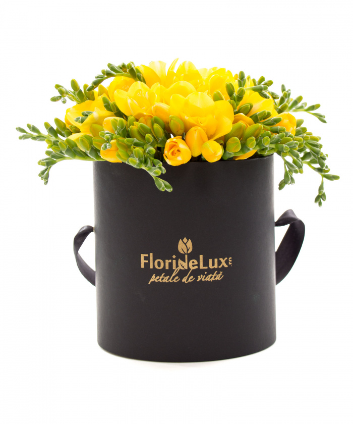 Cutie cu frezii galbene si vin Billecart Salmon