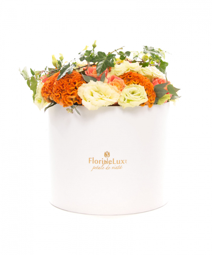 Cutie interesanta cu celosia si lisianthus – imaginea 1