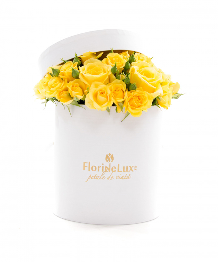 Cutie trandafiri raze de soare si vin Calem